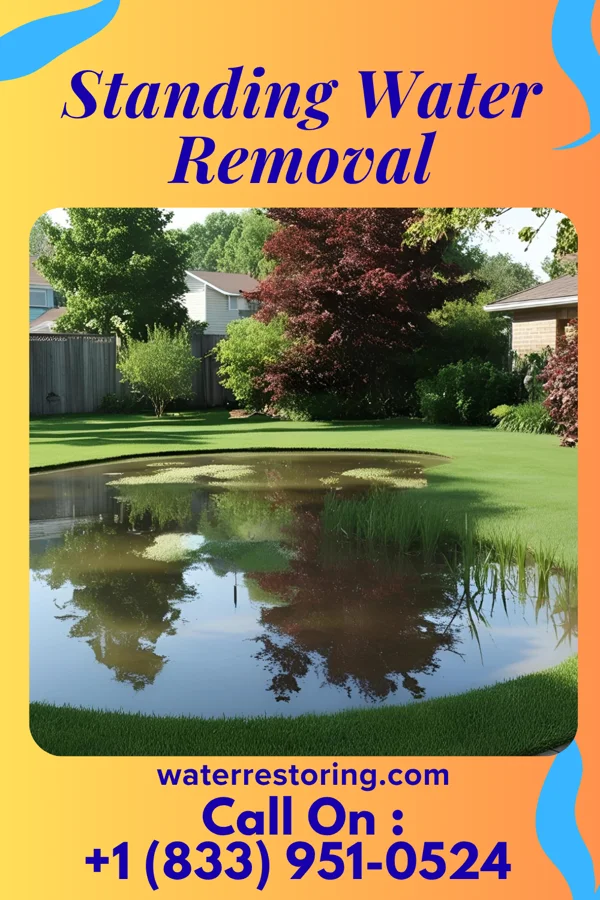 Standing Water Removal in York, NE